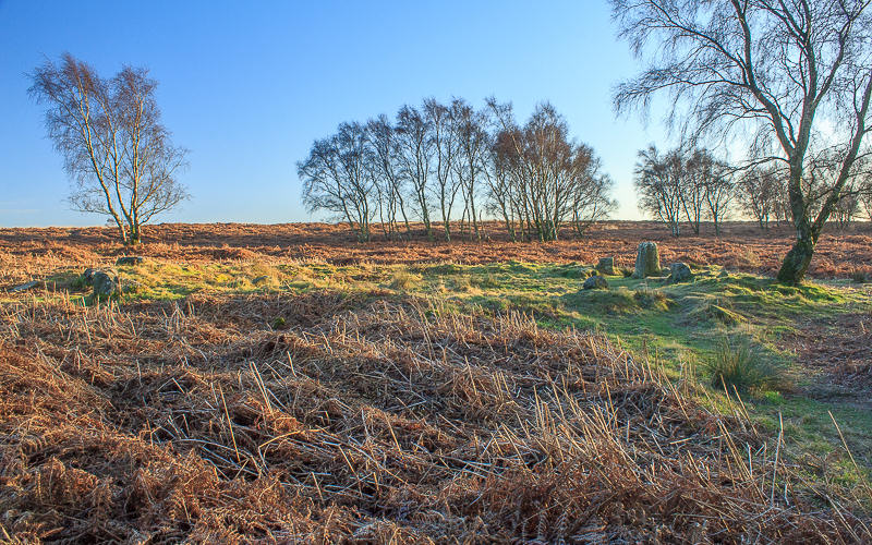 Stone Circle